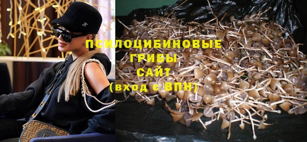 эйфоретик Майский