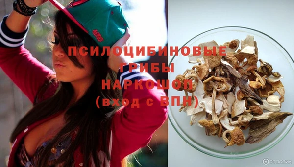 Альфа ПВП Магадан